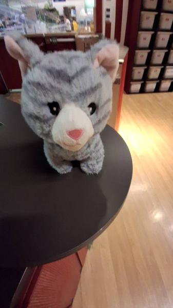 Knuffellapje Chat tigre gris