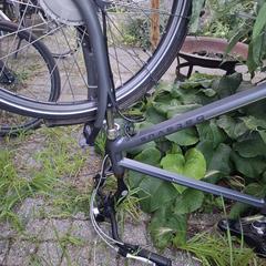 Fiets, ako bolo nahlásené iLost