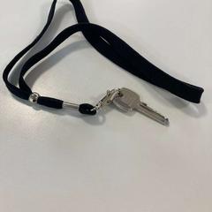 Schlüssel zwarte hanger, gemeldet von Gemeente Ede über iLost