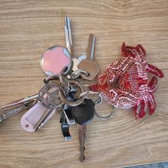 set of keys, jak zgłoszono do iLost