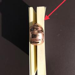 Earring, gemeldet von Van Gogh Museum über iLost