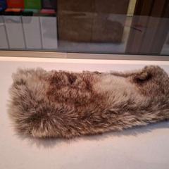 Orelleres bont, segons ha informat Rijksmuseum van Oudheden mitjançant iLost