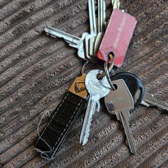 Sleutelbos, amint azt az iLostnak jelentették.