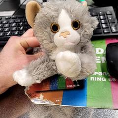 Cat, as reported by IKEA Slependen using iLost