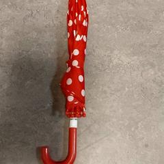 Deštník, jak nahlášeno Centraal magazijn pomocí iLost