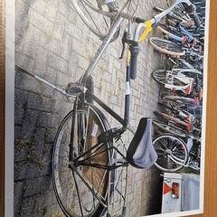 Férfi kerékpár, amint azt Gemeente Roermond az iLost segítségével jelentette.