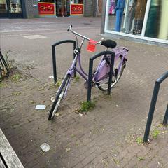 Damenrad Gazelle Roze, gemeldet von Gemeente Zevenaar über iLost