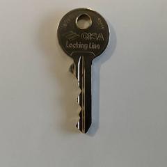 Chave, como reportado por Centraal magazijn utilizando o iLost