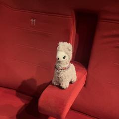 Peluix, segons ha informat Pathé Zwolle mitjançant iLost