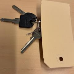 Sleutels, zoals gemeld door RET met iLost