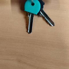 Keys, as reported by Regio Antwerpen - Brussel using iLost