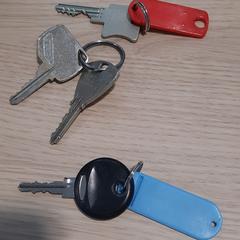 Sleutels, diverse, ha sido reportado por Alrijne Leiderdorp con iLost