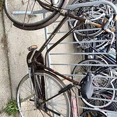 Dámské kolo spendid, jak nahlášeno Stadswerk072 pomocí iLost