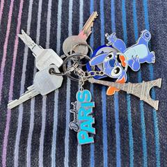 Sleutelbos (Disneyland Paris en Stitch がiLostに報告されました