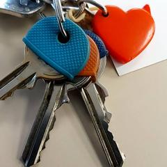 Klucze, zgłoszono przez Regio Antwerpen - Brussel przy użyciu iLost