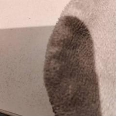 Coperta, come riportato da De Efteling utilizzando iLost