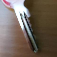 İLost kullanarak Centraal magazijn tarafından bildirildiği gibi Anahtarlar