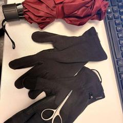 İLost kullanarak Ramada by Wyndham Amsterdam Airport Schiphol tarafından bildirildiği gibi Makas, Eldivenler & Şemsiye Red