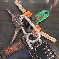 Sleutelbos, segons s'ha informat a iLost