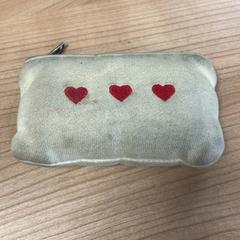 Cartera Novakova, segons ha informat Connexxion Amstelland-Meerlanden Schiphol Zuid mitjançant iLost