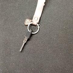 Kulcs Met hanger silicone, amint azt Qbuzz GD Groningen Peizerweg az iLost segítségével jelentette.