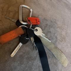 Sleutelbos, ako bolo nahlásené iLost