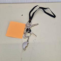 Clauer, segons ha informat Transdev Gooi en Vechtstreek mitjançant iLost