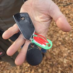 Autosleutel Cupra, ha sido reportado a iLost