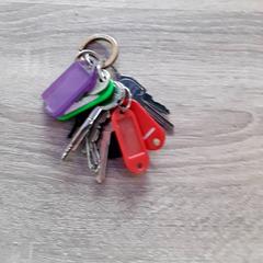 Portachiavi, come riportato da EBS Tramplein utilizzando iLost