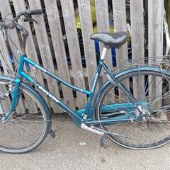 Cykel Gazelle Groen, rapporterat av Fietsdepot Meierijstad med iLost