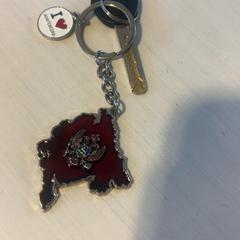 Kerékpár kulcs, amint azt Madurodam az iLost segítségével jelentette.