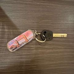 المفاتيح (متنوعة)، كما تم الإبلاغ عنه بواسطة Hotel Apeldoorn عبر iLost