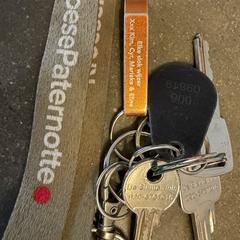 sleutelbos KroesePaternotte, som rapportert til iLost