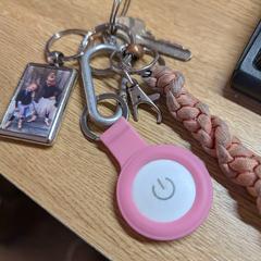 Sleutelbos, as reported to iLost