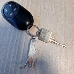 Car key Zwart Fiat 500, as reported by Gemeente Roermond using iLost