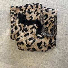 Xal, segons ha informat Regio Oost-Vlaanderen mitjançant iLost