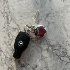 Sleutels Mercedes en huissleutel, as reported to iLost