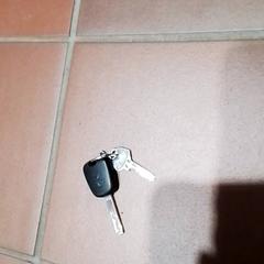 Llave Peugeot, ha sido reportado por Apenheul con iLost