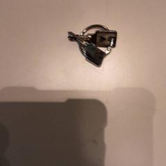 Nycklar, rapporterat av LUMC med iLost