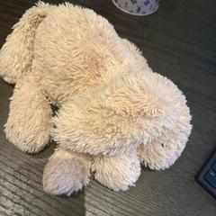 Kuscheltier, gemeldet von Van der Valk Hotel Amsterdam-Amstel über iLost