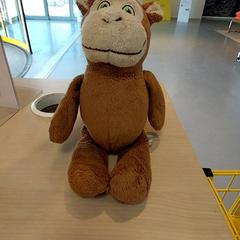 Peluche Marron, ha sido reportado por IKEA Strasbourg con iLost