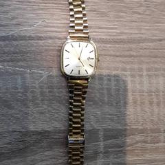 Wristwatch, as reported by EBS Tramplein using iLost