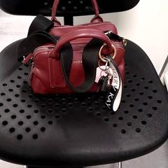 Taška & Peňaženka Fortin Gomez, ako bolo nahlásené Arriva Infoshop Enschede pomocou iLost