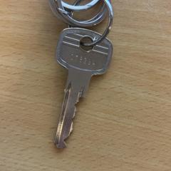 Chiave Met poppetje als sleutelhanger, come riportato da Rotterdam Ahoy utilizzando iLost