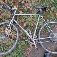 Batavus racefiets がiLostに報告されました