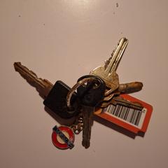 Sleutelbos، كما تم الإبلاغ عنه عبر iLost