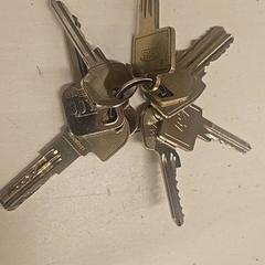 المفاتيح (متنوعة)، كما تم الإبلاغ عنه بواسطة GVB عبر iLost