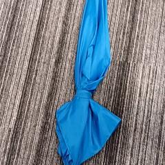 مظلة Blauw، كما تم الإبلاغ عنه بواسطة Arriva Vechtdallijnen عبر iLost