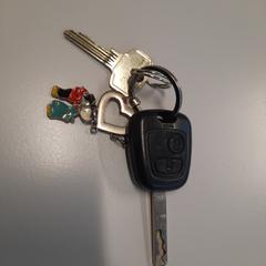 Sleutelbos がiLostで Connexxion Zeeuws-Vlaanderen によって報告されました