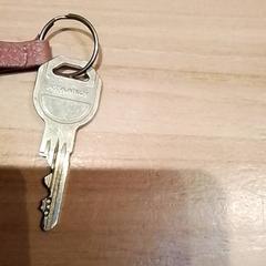 Schlüssel, gemeldet von Beekse Bergen Resorts en Hotel über iLost